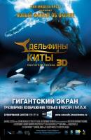 Смотреть Dolphins and Whales 3D: Tribes of the Ocean