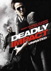 Смертельный удар / Deadly Impact 2009