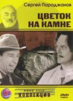 Цветок на камне  1962