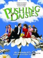 Мертвые до востребования / 2 сезон / Pushing Daisies 2007