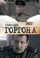 Операция «Горгона»  2011