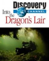 В логово драконов / Into the Dragon's Lair 2010