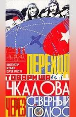Переход товарища Чкалова через Северный полюс  1990