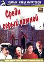 Среди серых камней  1983