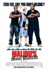 Разыскиваются в Малибу / Malibu's Most Wanted 2003