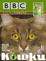 BBC: Загадочные кошки / The Cat Connection 2002