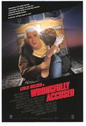 Без вины виноватый / Wrongfully Accused 1998