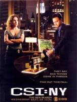 CSI: Место преступления Нью-Йорк / 4 сезон / CSI: NY 2006
