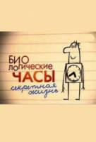 Биологические часы. Секретная жизнь / The secret life of your body clock 2009