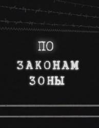 По законам зоны  2010