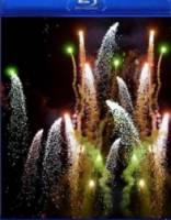 Рождественские огни / Christmas Lights 2008
