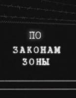 По законам зоны  2010