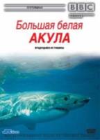 BBC: Большая белая акула / Great White Shark 1995