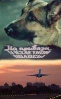 На привязи у взлетной полосы  1989
