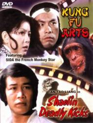 Смертельные удары Шаолиня / Shaolin deadly kicks 1977