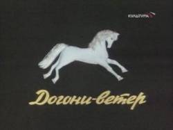 Догони-ветер  1978
