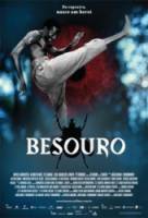 Жук / Besouro 2009