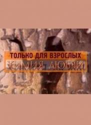 Химия любви  2008