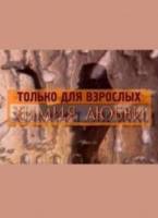 Химия любви  2008