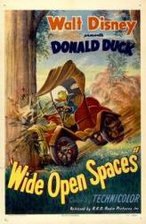 Wide Open Spaces  1947