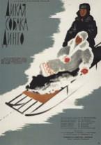 Дикая собака Динго  1962