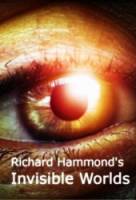 BBC: Невидимые миры - Свободный масштаб 03 / BBC: Richard Hammond's Invisible World - Off the Scale 03 2010