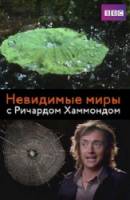 BBC: Невидимые миры - Вне поля зрения 02 / BBC: Richard Hammond's Invisible World - Out of sights 02 2010