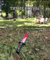 Тихие сосны  2009