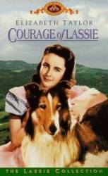 Храбрость Лесси / Courage of Lassie 1946