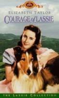 Храбрость Лесси / Courage of Lassie 1946