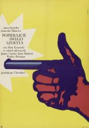 Поддержи своего стрелка / Support Your Local Gunfighter 1971