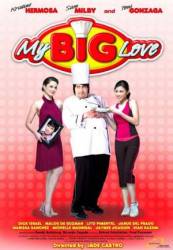 Моя большая любовь / My Big Love 2008
