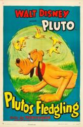 Птенец Плуто / Pluto's Fledgling 1948