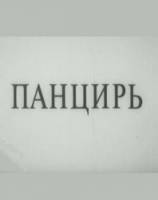 Панцирь  1990