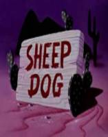Овцы собаки / Sheep Dog 1949