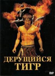 Дерущийся тигр / Kinta 2008