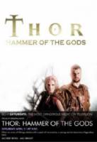 Молот богов / Hammer of the Gods 2009