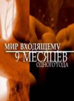Мир входящему. 9 месяцев одного года  2010