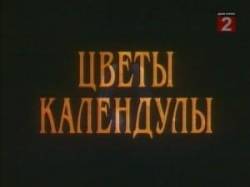 Цветы календулы  1998