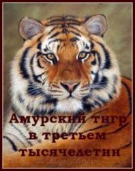 Амурский тигр в третьем тысячелетии  2010