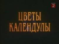 Цветы календулы  1998