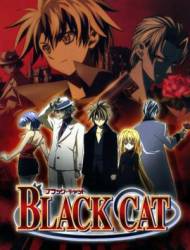 Черный кот / Black Cat 2005