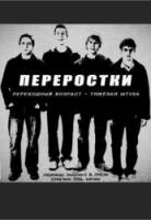 Переростки / 1 сезон / The Inbetweeners 2008