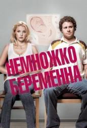 Немножко беременна / Knocked Up 2007