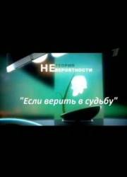 Теория невероятности. Если верить в судьбу  2010