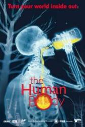 Человеческое тело / The Human Body 2001