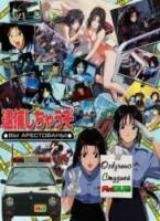 Вы арестованы! / You're Under Arrest! The Motion Picture 1999