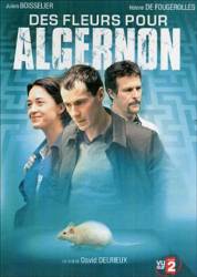 Цветы для Алджернона / Des fleurs pour Algernon 2006