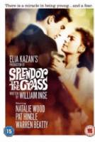 Великолепие в траве / Splendor in the Grass 1961