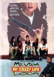 Моя безумная жизнь / Mi vida loca 1993